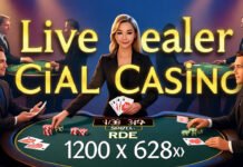 Live Dealer Casino Games: What You Need to Know top-rated online casinos